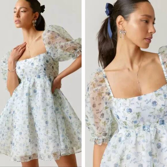 Francesca's Collections Dresses & Skirts - NWT Audrey Parks x Francesca's Asha Valney Floral Babydoll Dress sz S Cottage